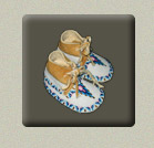 shoshone shoes